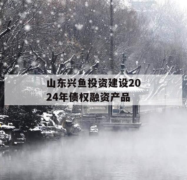 山东兴鱼投资建设2024年债权融资产品