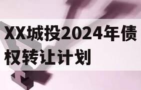 XX城投2024年债权转让计划