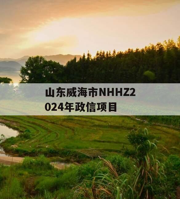 山东威海市NHHZ2024年政信项目