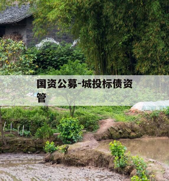 国资公募-城投标债资管