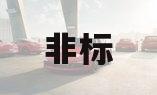 非标