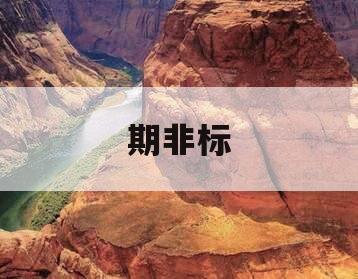期非标